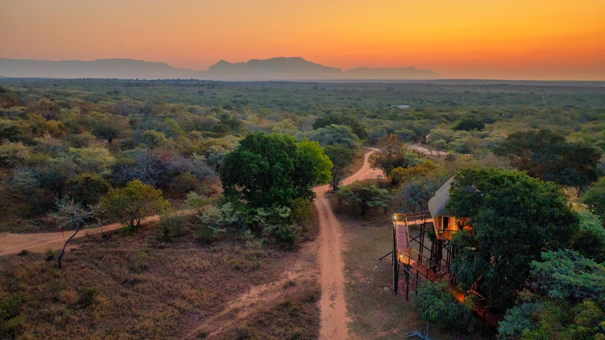 Pezulu Tree House Lodge Hoedspruit Luaran gambar