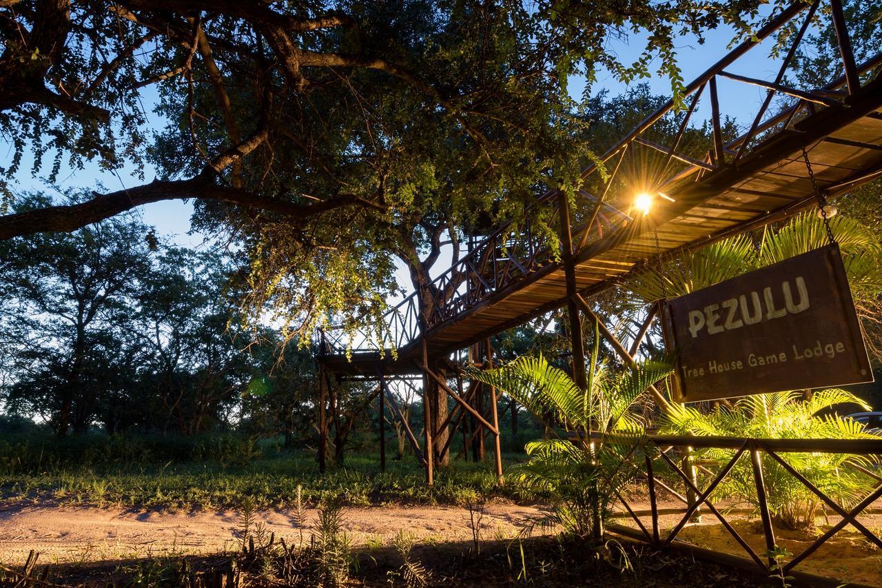 Pezulu Tree House Lodge Hoedspruit Luaran gambar