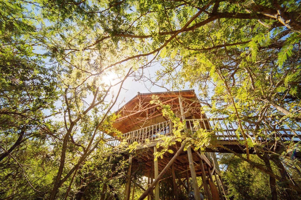 Pezulu Tree House Lodge Hoedspruit Luaran gambar