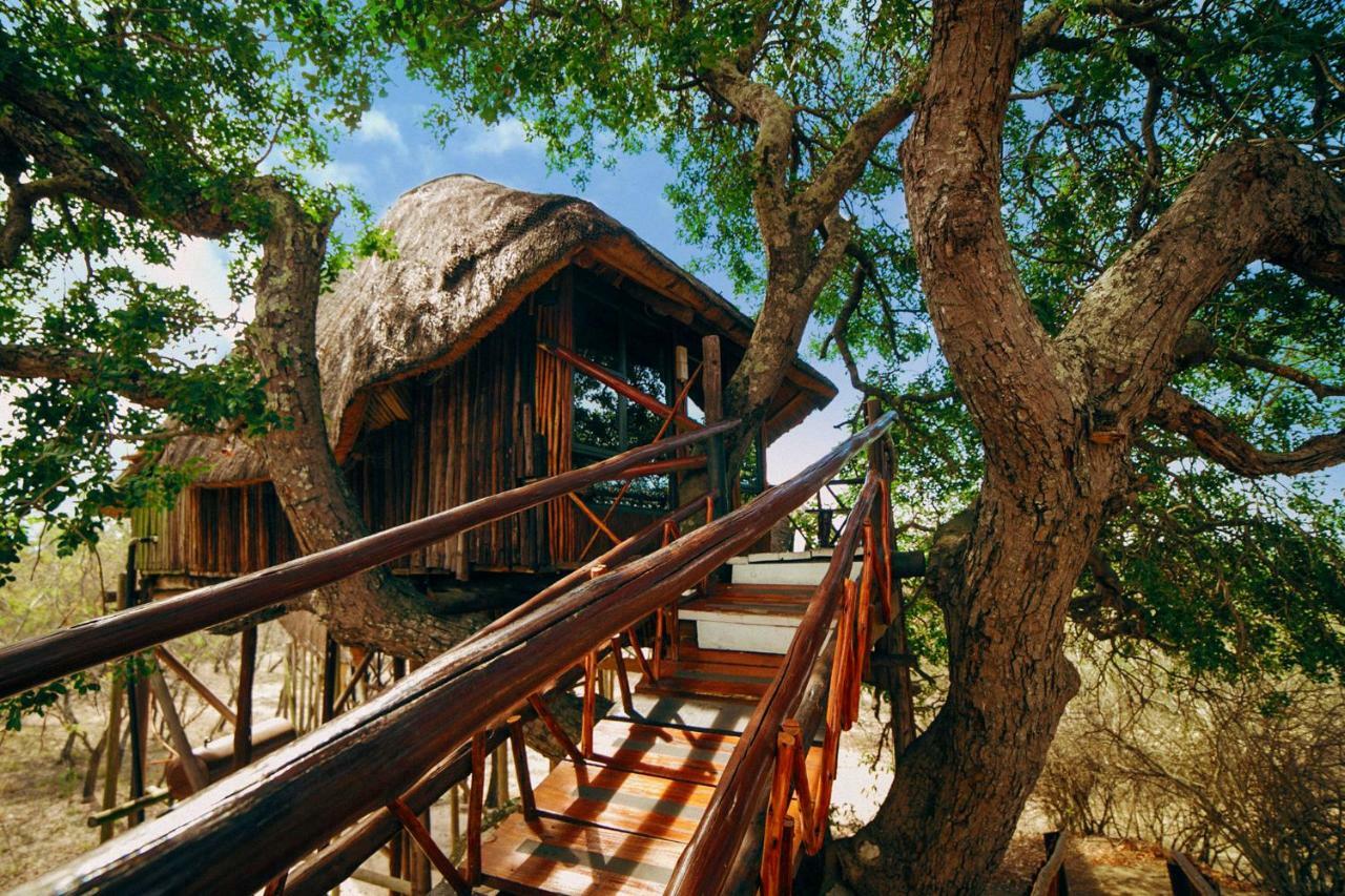 Pezulu Tree House Lodge Hoedspruit Luaran gambar