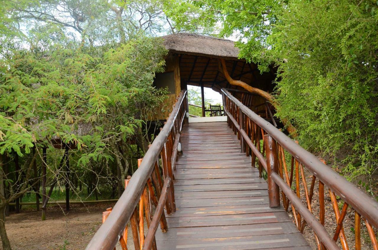 Pezulu Tree House Lodge Hoedspruit Luaran gambar