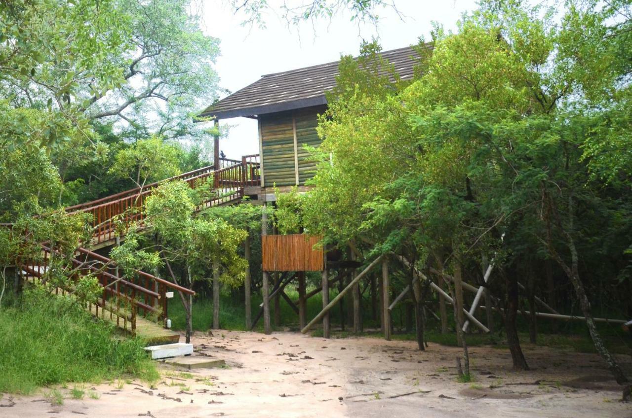 Pezulu Tree House Lodge Hoedspruit Luaran gambar